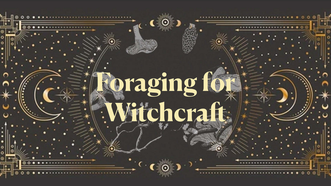 Foraging For Witchcraft -July