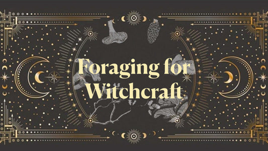 Foraging For Witchcraft - June