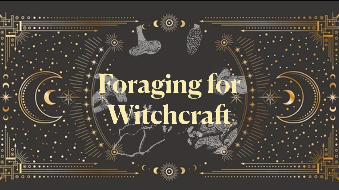 Foraging For Witchcraft - February - Wild Garlic