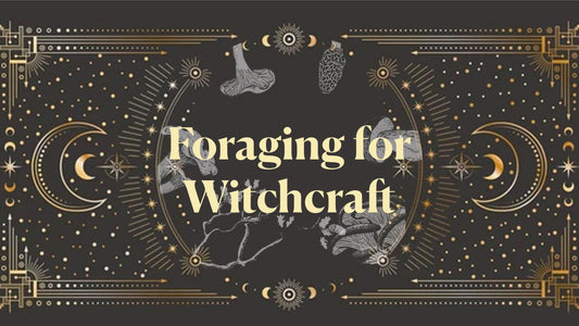Foraging For Witchcraft - December