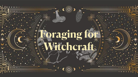 Foraging For Witchcraft - October