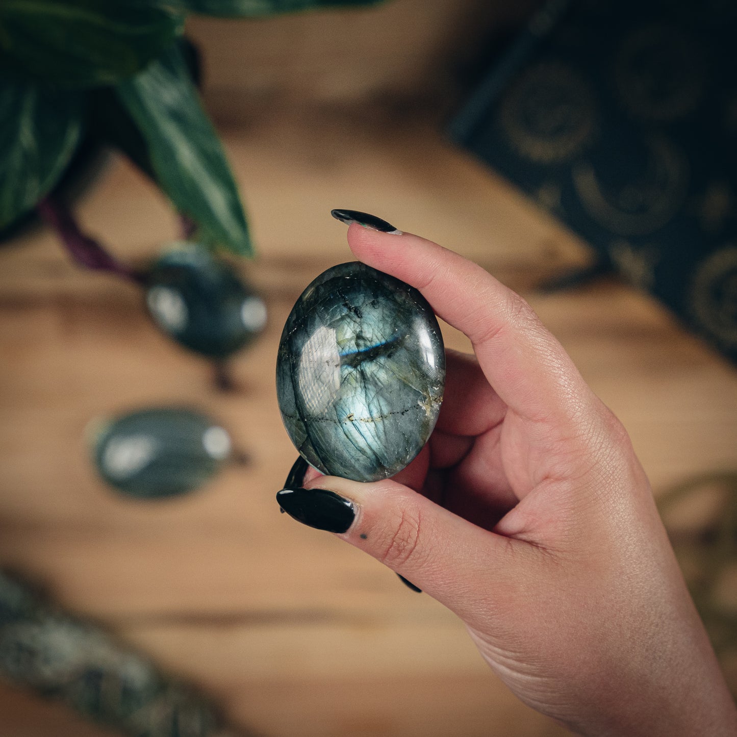 Labradorite Palmstone