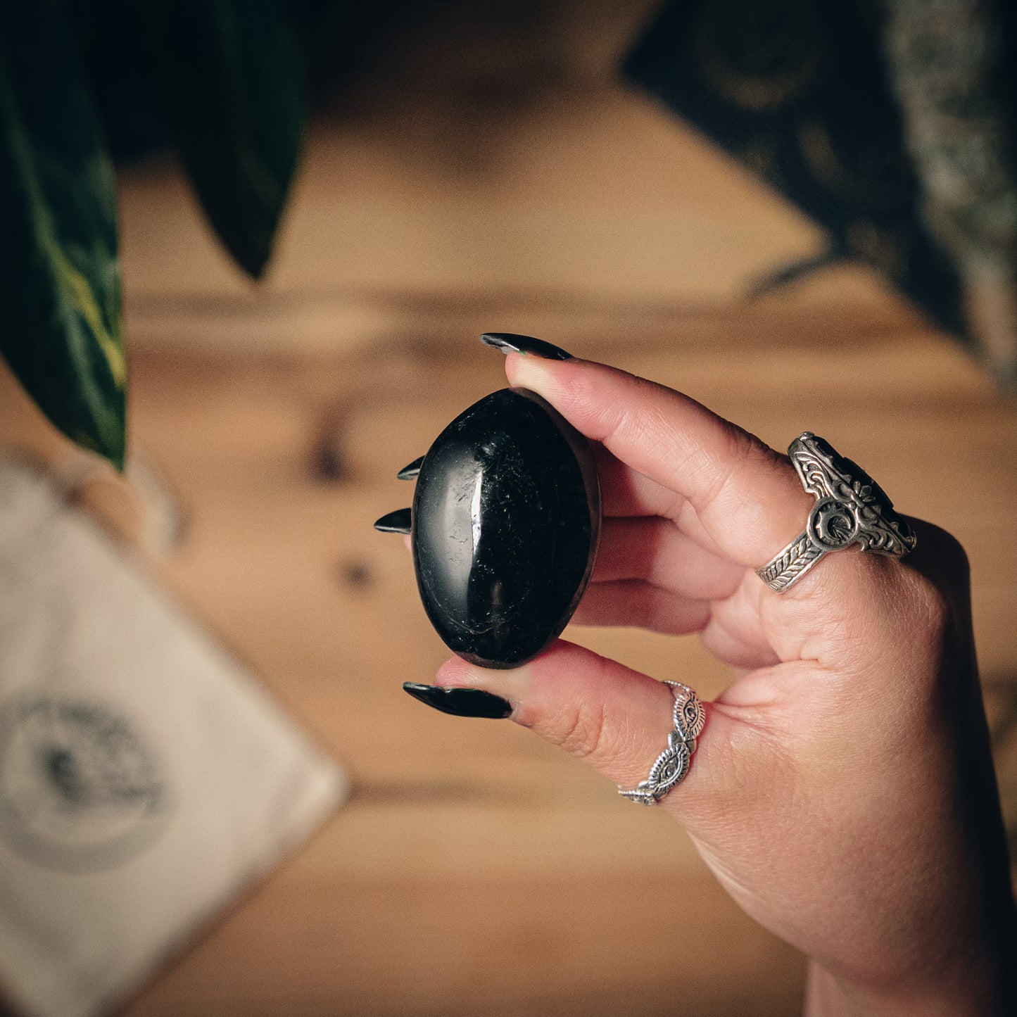 Black Tourmaline Palmstone